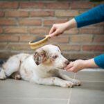 Ayla Verschueren Dahcxrqciy4 Unsplash 1024x1024 1