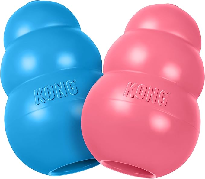 KONG Puppy